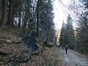 17 Siamo nel 'Bosco degli Gnomi'